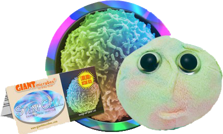 giant microbes stem cell