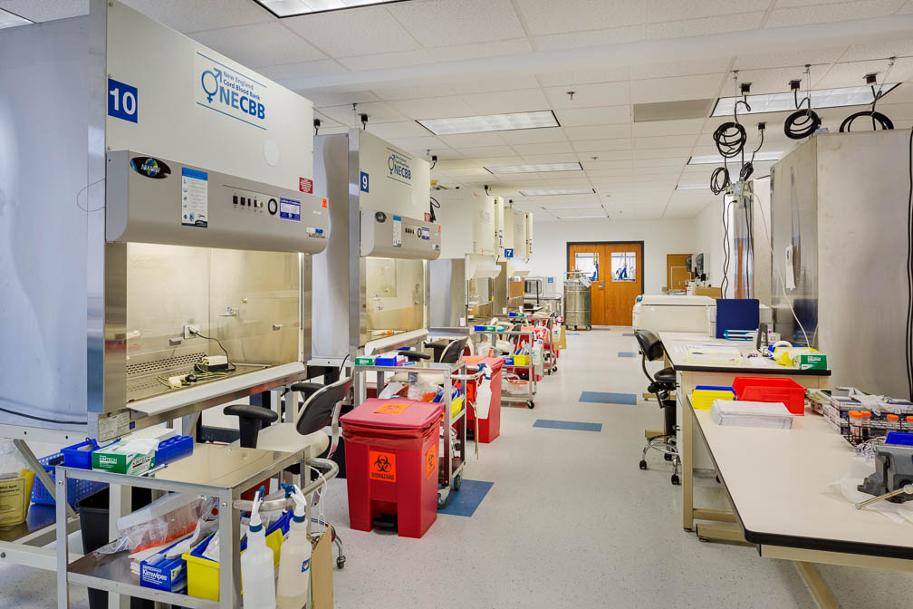 NDPL stem cell laboratory 