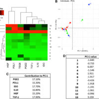 Bone Marrow Mesenchymal Stromal Cells in Patients with Osteoarthritis Results in Overall Improvement in Pain and Symptoms and Reduces Synovial Inflammation Bone Marrow Mesenchymal Stromal Cells in Patients with Osteoarthritis Results in Overall Improvement in Pain and Symptoms and Reduces Synovial Inflammation