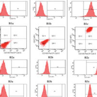 Investigation on Cell Surface Markers of Dental Pulp Stem Cell
Isolated from Impacted Third Molar Based on International
Society for Cellular Therapy Proposed Mesenchymal Stem Cell
Markers Investigation on Cell Surface Markers of Dental Pulp Stem Cell Isolated from Impacted Third Molar Based on International Society for Cellular Therapy Proposed Mesenchymal Stem Cell Markers