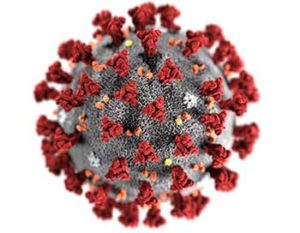 NECBB COVID-19 Coronavirus Statement